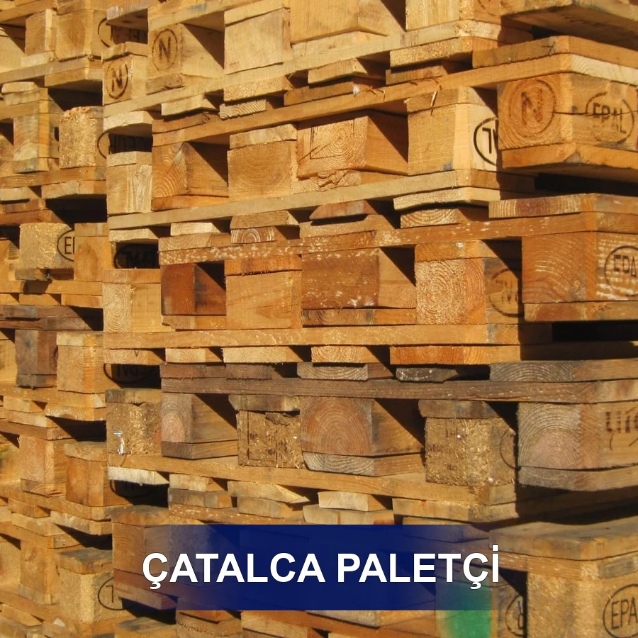 Çatalca Paletçi